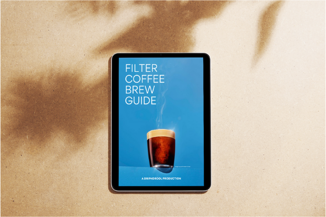 Filter Brew Guide